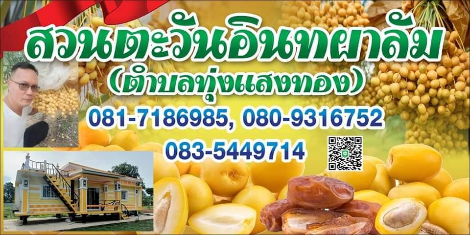 สวนตะวันอินทผาลัม